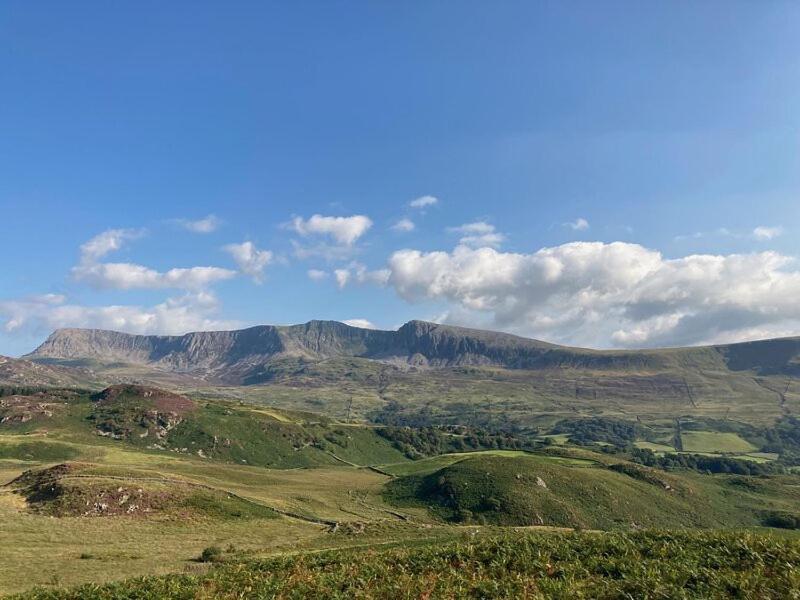 Y Gribyn - Modern Stone Cottage Within Snowdonia'S National Park Dolgellau Exterior foto