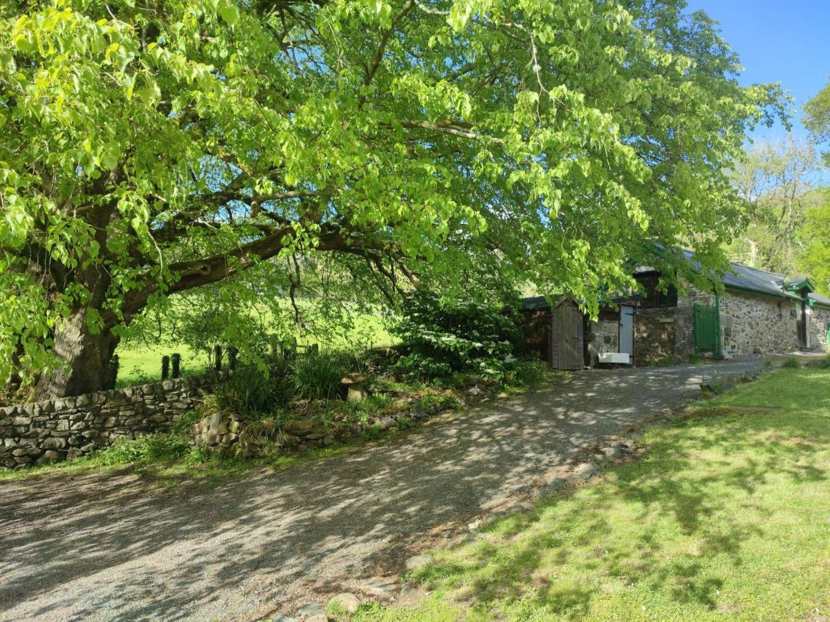 Y Gribyn - Modern Stone Cottage Within Snowdonia'S National Park Dolgellau Exterior foto